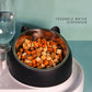 Dog Bowl with Stand Automatic Water Storage Dispenser Pet Cat Food Bowl 2-in-1 Splash-proof Water Container Elevated Removable