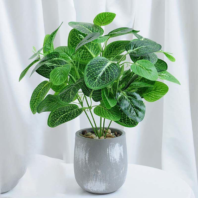 Nordic Wind Simulation Plant Bonsai  Artificial Flower Decoration Simulation Flower Green Plant Decoration Turtle Back Leaf Indoor Potted Desktop