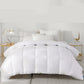 Five-star Hotel Winter Quilt Spring and Autumn Thickened Warm Quilt Student Dormitory Air-conditioned Cotton Quilt