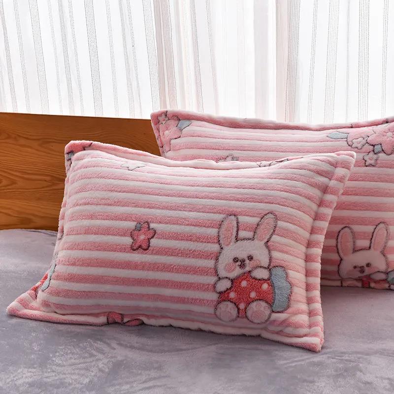 Coral Velvet Pillowcase for A Pair of Double-sided Winter Thick Warmth Single and Double Pillowcase