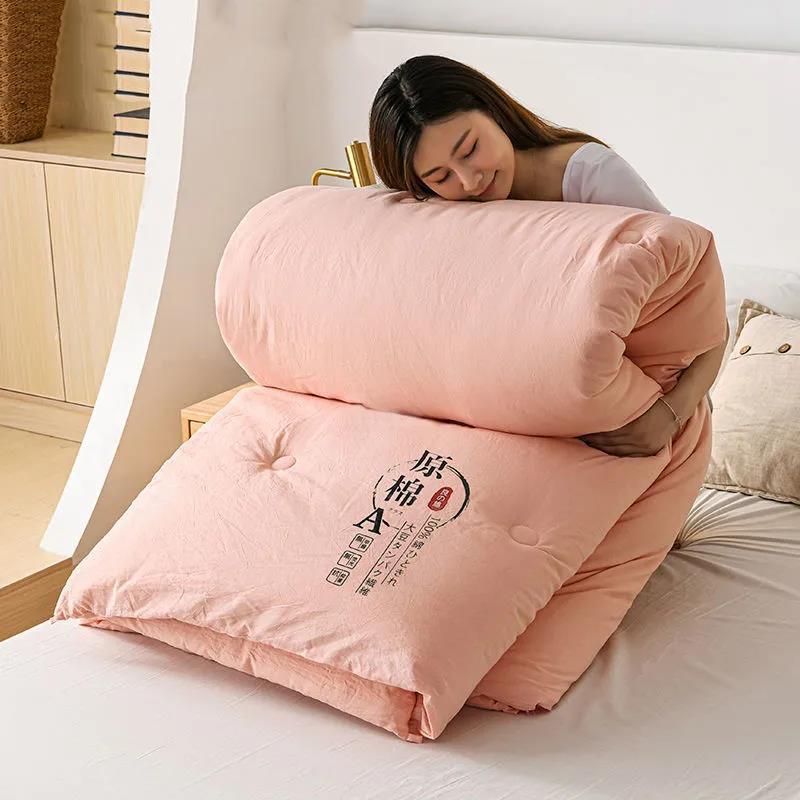 Skin-friendly Class A Antibacterial Soy Quilt Four Seasons Single Double Winter Quilt Core Spring and Autumn Was Taken By The Summer Dormitory