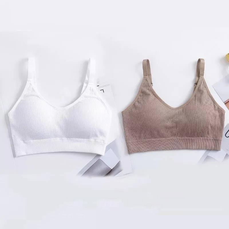 Two-piece Sports Beauty Back Tube Top No Steel Ring Camisole Gathered Anti-shrinking Wrap Chest Can Be Worn Outside Women's Underwear Bra