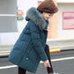 Middle-aged and Elderly Pure Color Simple Down Cotton Jacket Mid-length Spring and Autumn Women's Clothing