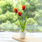 Fake Flower Tulip Bonsai Simulation Flower Creative Home Interior Dining Table Living Room Decoration Simulation Plant Artificial Flower