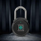 Fingerprint Padlock Intelligent Lock Dormitory Locker Warehouse Door Security Lock Outdoor Remote Authorization Password Padlock
