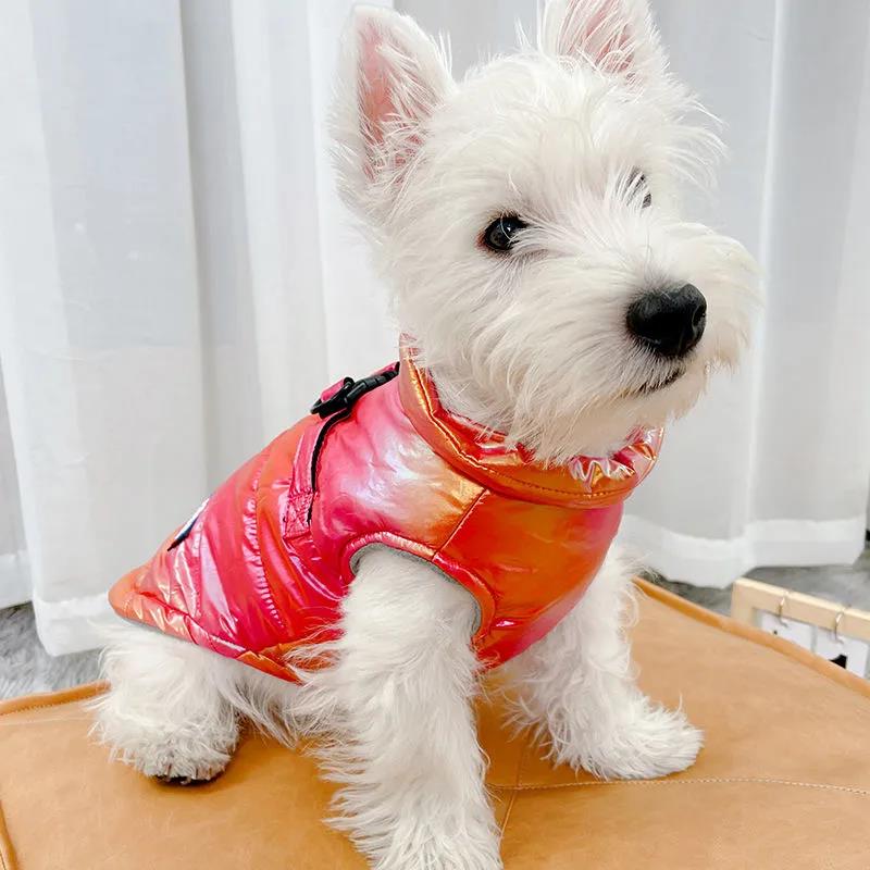Pet Clothing Dog Clothes Rainbow Gradient Color Vest Puppy Teddy Winter Thick Cotton Clothes Cat Waterproof Sweater Jacket Zipper Coats for Large Dog