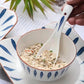 Set Household Japanese Net Red Ins Ceramic Bowl and Plate Set Creative Plate Combination 10 People Tableware Tableware Salad Bowl
