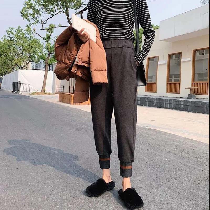 Harem Pants Women's Autumn and Winter New Styles Plus Velvet Thick Woolen Trousers Beam Pants Radish Pants Loose and Thin Net Red Granny Pants