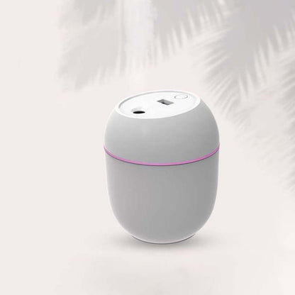 USB Rechargeable Nano Spray Humidifier Car Purification Moisturizing Mute Big Spray Mini Aromatherapy Humidifier