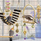 8 Pieces of Parrot Toy Swing Primary Color Wood Gnawing Molar Toy Bird Cage Pendant Supplies Climbing Ladder Rattan Ball