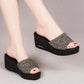 Ladies Summer Sandals and Slippers All-match Outer Wear Wedge Heel Fashion Trend Non-slip Beach Shoes