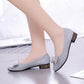 Spring and Summer Pumps Women's Pointed Toe Low-heeled Shoes Korean Style Thick-heeled Work Shoes