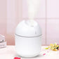 250ml Indoor Air Humidifier USB Electric Sprayer Mute Aroma Diffuser Portable Air Purifier