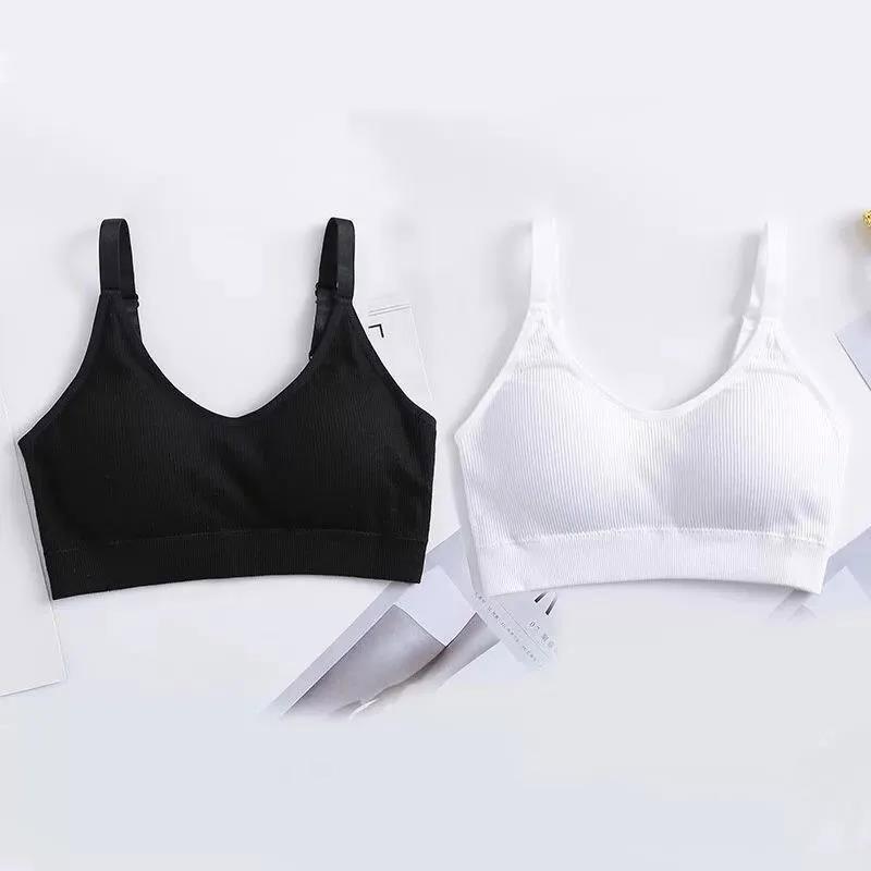 Two-piece Sports Beauty Back Tube Top No Steel Ring Camisole Gathered Anti-shrinking Wrap Chest Can Be Worn Outside Women's Underwear Bra