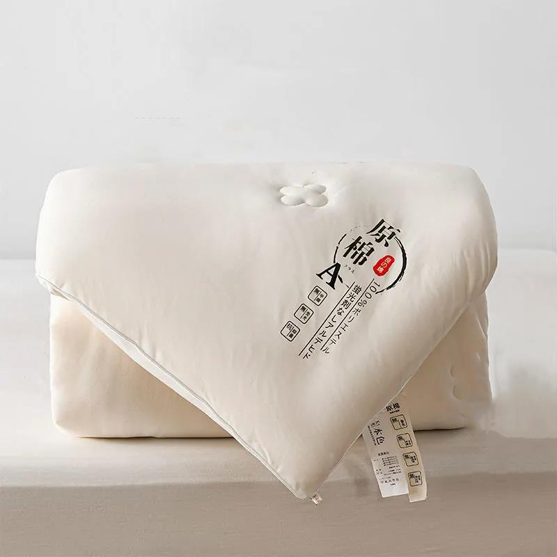 Skin-friendly Class A Antibacterial Soy Quilt Four Seasons Single Double Winter Quilt Core Spring and Autumn Was Taken By The Summer Dormitory