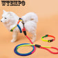 Nylon Leashes Running Hands Waist Belt Jogging Leads Retractable Leash For Small Pet Dogs