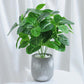 Nordic Wind Simulation Plant Bonsai  Artificial Flower Decoration Simulation Flower Green Plant Decoration Turtle Back Leaf Indoor Potted Desktop