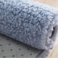 Thick Lamb Velvet Carpet Bedroom Full Bed Plush Blanket Living Room Sofa Coffee Table Mat
