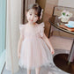 Girls Fluffy Cake Dresses Mesh Skirt Embroidery Ruffle Kids Christmas Party Costume Birthday Tutu Gown Children Clothing