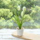 Fake Flower Tulip Bonsai Simulation Flower Creative Home Interior Dining Table Living Room Decoration Simulation Plant Artificial Flower