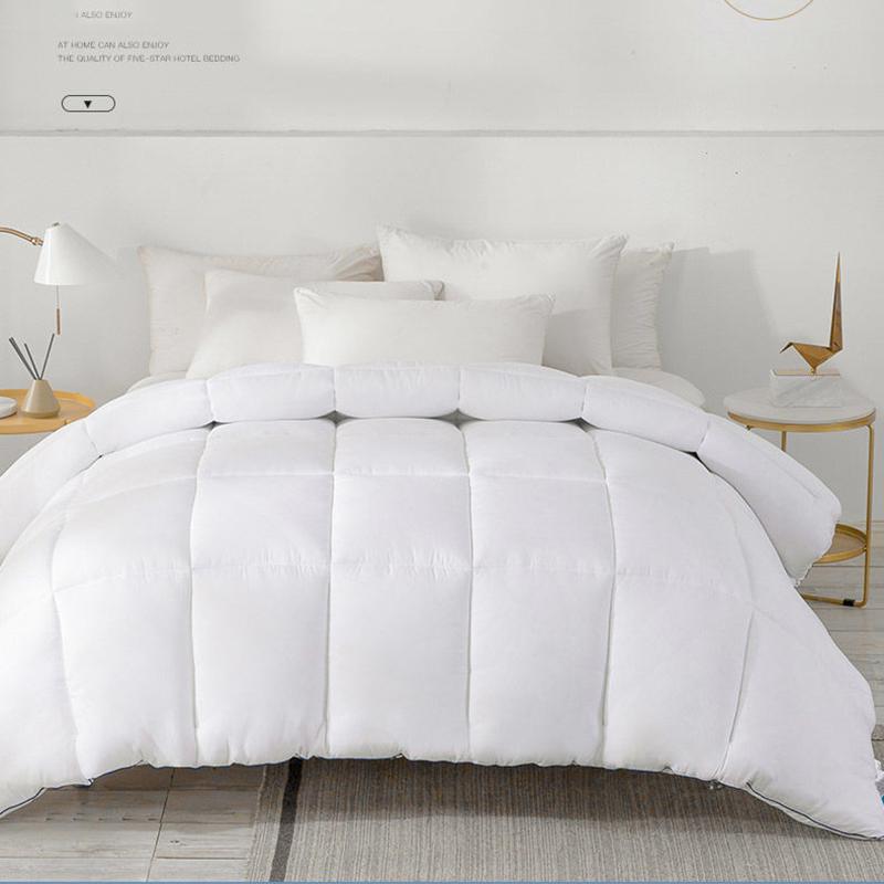 Five-star Hotel Winter Quilt Spring and Autumn Thickened Warm Quilt Student Dormitory Air-conditioned Cotton Quilt