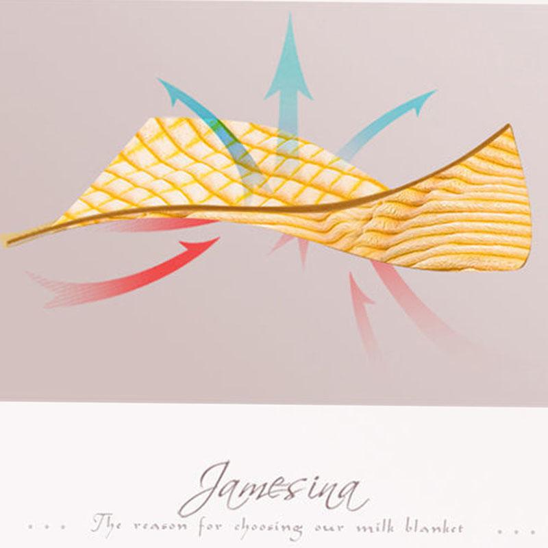 Blanket Quilt Coral Fleece Sheet Blanket Sheet Double Milk Fleece Thick Flannel Winter Dormitory Student Fleece Blanket