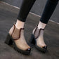 Thick-heeled Short Boots Women's Autumn and Winter Smoke Pipe Martin Boots High Heels All-match Height-increasing Shoes Single Boots High Heels