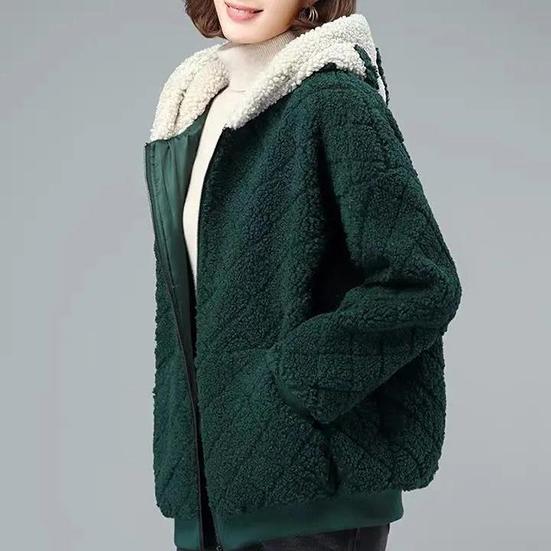 Winter Women's Warm Plush Thickened Hooded Coat Female Large Size Versatile Short Loose Lamb Wool Jacket
