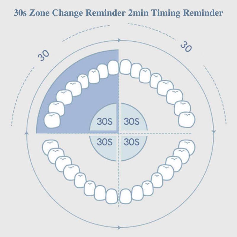 Home Oral Care Products Electric Toothbrush Facial Cleanser Dual-use Fully Automatic Rechargeable Adult Waterproof Whitening Sonic Soft Brush