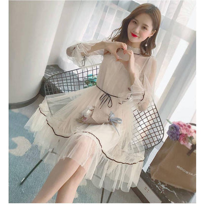 Women's wild mid-length dress long-sleeved mesh dress spring size plus size slim skirt