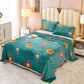 1.5/1.8/2m Bed Flannel Bed Sheet Single Double Coral Pile Blanket Double Sided Plush Bed Sheet Twin Queen King Size