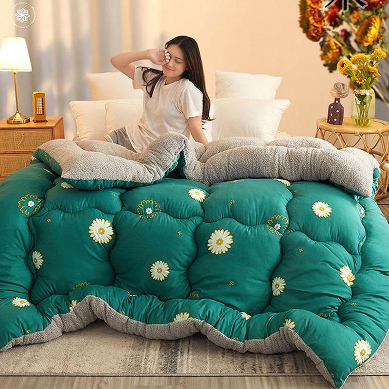 Winter Thick 5kg Lamb Velvet Quilt Spring and Autumn Single and Double Air Conditioning Quilt To Keep Warm In Winter