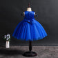 Dress Girls Costumes Princess Flower Girl Dress Children Dress Girl Sleeveless Tutu Skirt