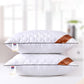 Student Adult Sleeping Pillow Washable Household Pillow Hotel Pillow Cores Neck Protection Single Pillow Core
