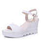 Summer Sandals Women's Platform Platform High-heeled Platform Belt Buckle Mid-heel High-heeled Sandals Women's Platform High-heeled Sandals
