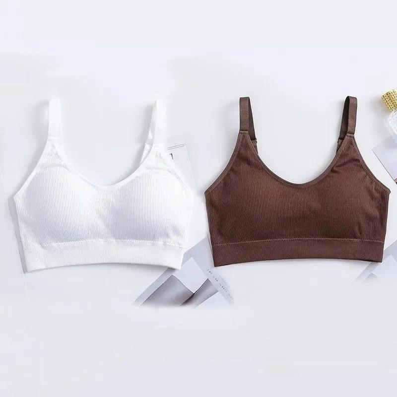 Two-piece Sports Beauty Back Tube Top No Steel Ring Camisole Gathered Anti-shrinking Wrap Chest Can Be Worn Outside Women's Underwear Bra