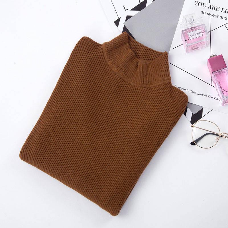 Women Sweaters 2019 Autumn Winter Turtleneck  Knitted Sweater Casual Soft Pullovers Ladies Jumper
