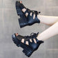 Female Summer Hollow Out Breathable Roman Sandals Women's Large Size All-match High-heeled Platform Black Sandals