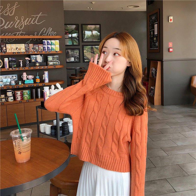 Female Fall Winter Pullover Plus Size Long Sleeve O-neck Loose Twist Weaving Print Office Sweater