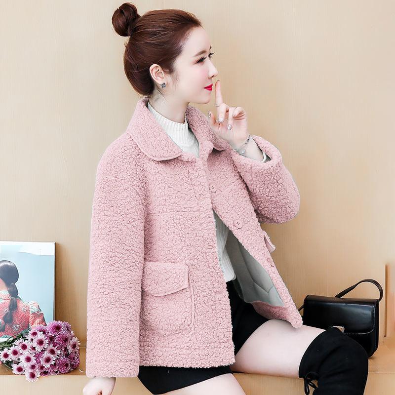 Plush Thick Lamb Wool Jacket Women Autumn and Winter Imitation Fur One Loose Warm Jacket Ladies Casual Warm Jacket Soft and Comfortable