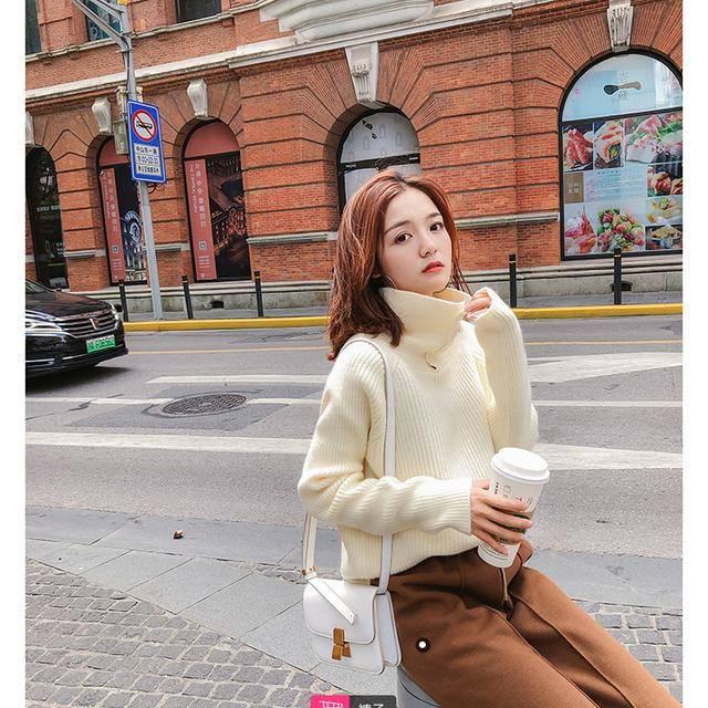 Autumn Winter Turtleneck Rabbit Villus Sweater Simple Women Long-sleeved Slim Sweaters