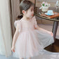 Girls Fluffy Cake Dresses Mesh Skirt Embroidery Ruffle Kids Christmas Party Costume Birthday Tutu Gown Children Clothing