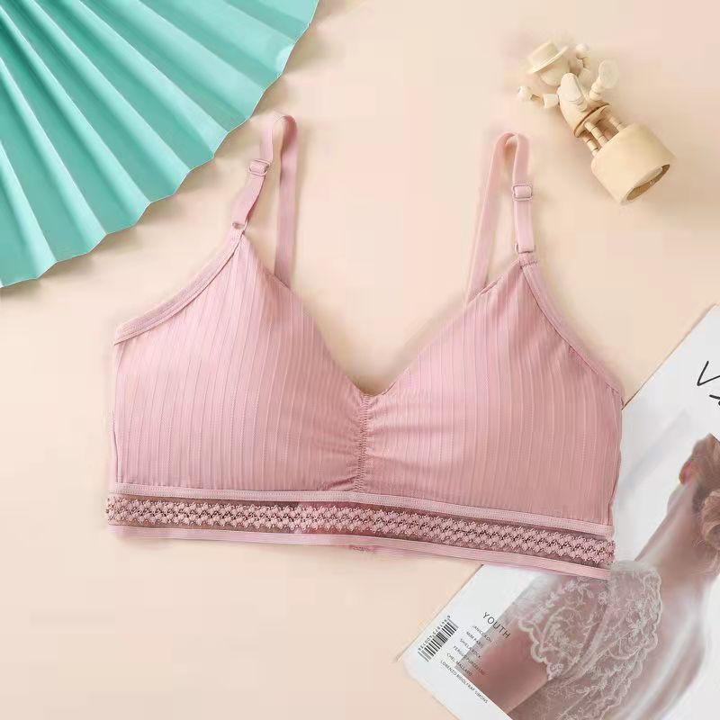 Spring and Summer Thin Ice Silk Lace Sexy No Steel Ring Wrapped Chest Beautiful Back Gathered Bottoming Women's Underwear Bra