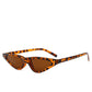 Small Triangle Cat Eye Sunglasses Women Fashion Vintage Cat Eyeglasses Female 2019 Stylish Sun Glass