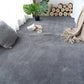 Super Soft Fluffy Carpet Living Room Bedroom Bedside Blanket Office Room Floor Mats Can Be Washed
