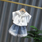 2PCS Children Clothing Set Spring Summer Girls Suits Lace Short Sleeve Tops + Pants Clothing Set