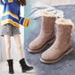 Pair of Boots Snow Boots Women's Martin Boots Leather Booties Plush Warm Women's Cotton Shoes