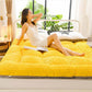Winter Milk Velvet Mattress Household Sleeping Mat Bed Mattress Mat Double Dormitory Thickening Single Upholstery