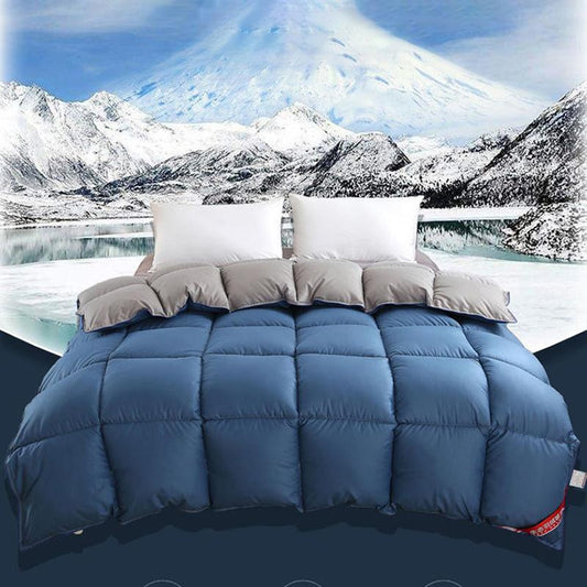 Winter White Goose Down Duvet Thickened Warmth Double Quilt Single Dormitory Quilt Large Soft and Comfortable Duvet