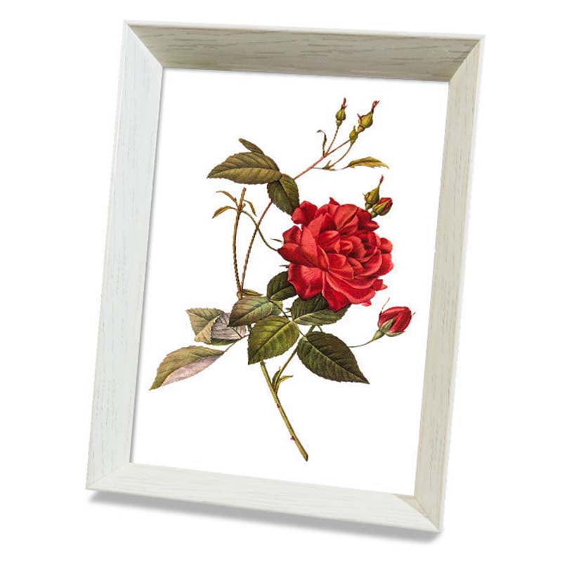 Framed Cross Stitch DIY Hand-woven Thread Embroidery Simple Modern Flower Simple Embroidery Living Room Bedroom Decoration
